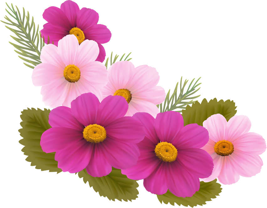 Блог Колибри: PNG клипарт "SPRING FLORAL"